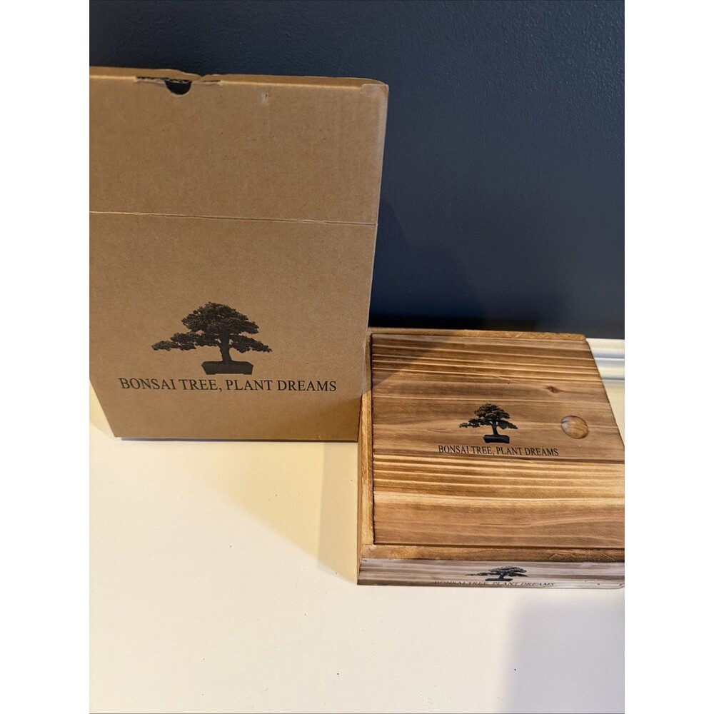 Bonsai Tree Starter Kit with 4 Unique Japanese Trees Plus Accessories Gift DIY